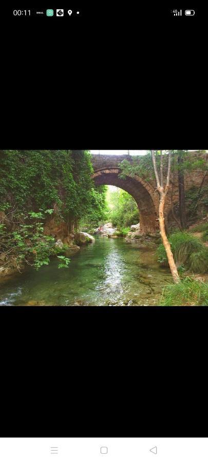Vivienda Paula Daire Arroyo Frio Dış mekan fotoğraf
